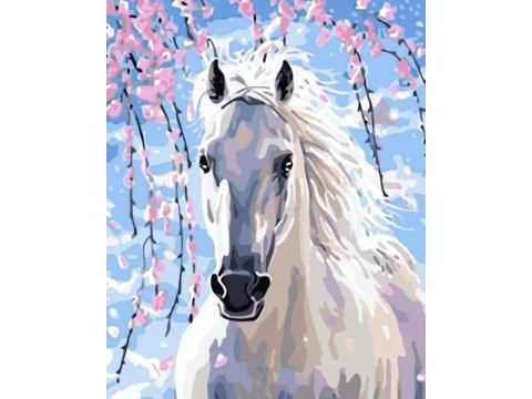 OBRAZ MALOWANIE PO NUMERACH RAMA 40x50cm BIAŁY RUMAK OBRAZ MALOWANIE PO NUMERACH RAMA 40x50cm BIAŁY RUMAK
