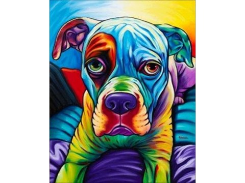 OBRAZ MALOWANIE PO NUMERACH RAMA 40x50cm BULDOG - PIES W KOLORZE OBRAZ MALOWANIE PO NUMERACH RAMA 40x50cm BULDOG - PIES W KOLORZE